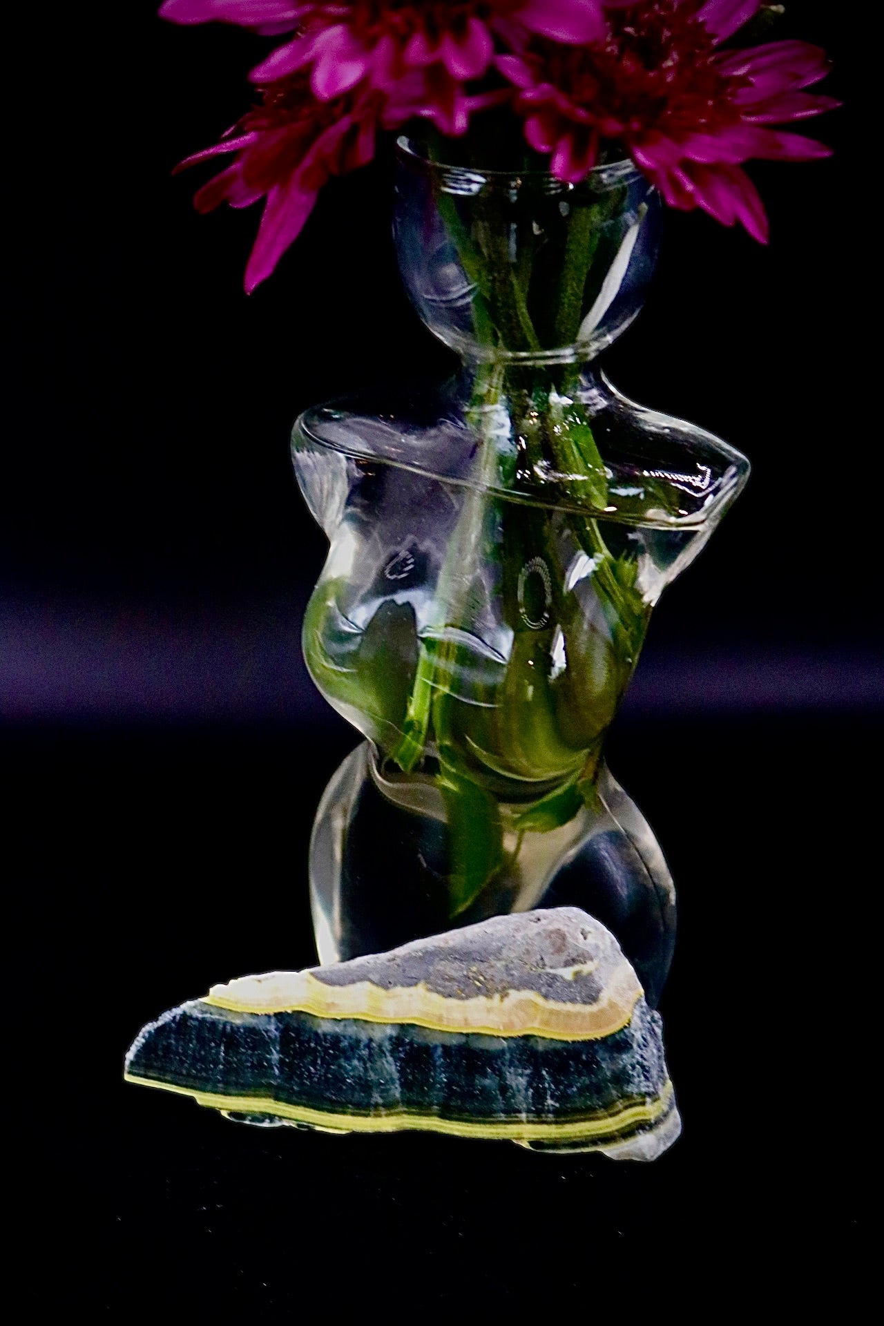 Bumble Bee Jasper
