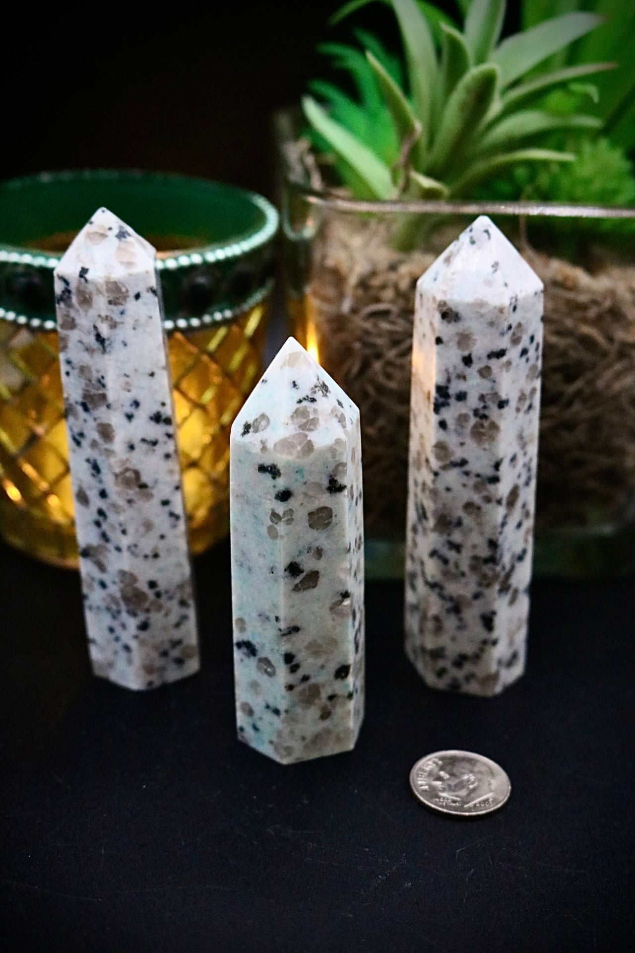 Kiwi Stone