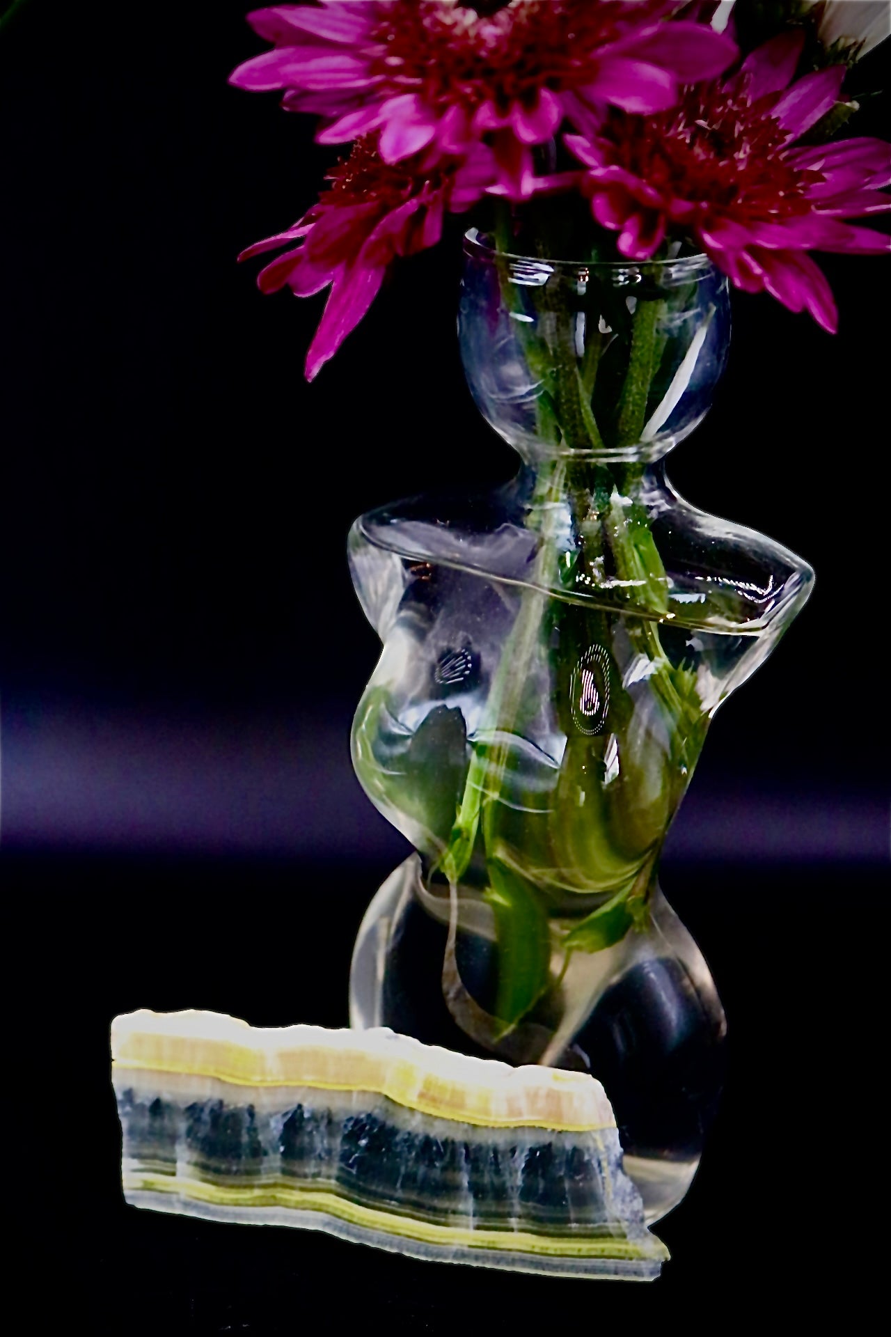 Bumble Bee Jasper