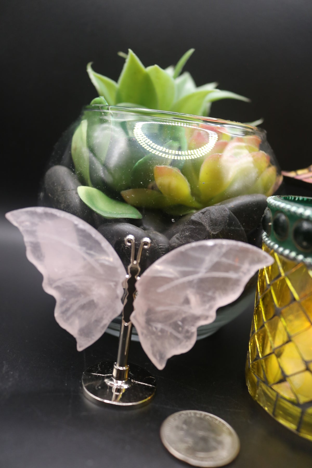 Random Butterfly Wings (Small)