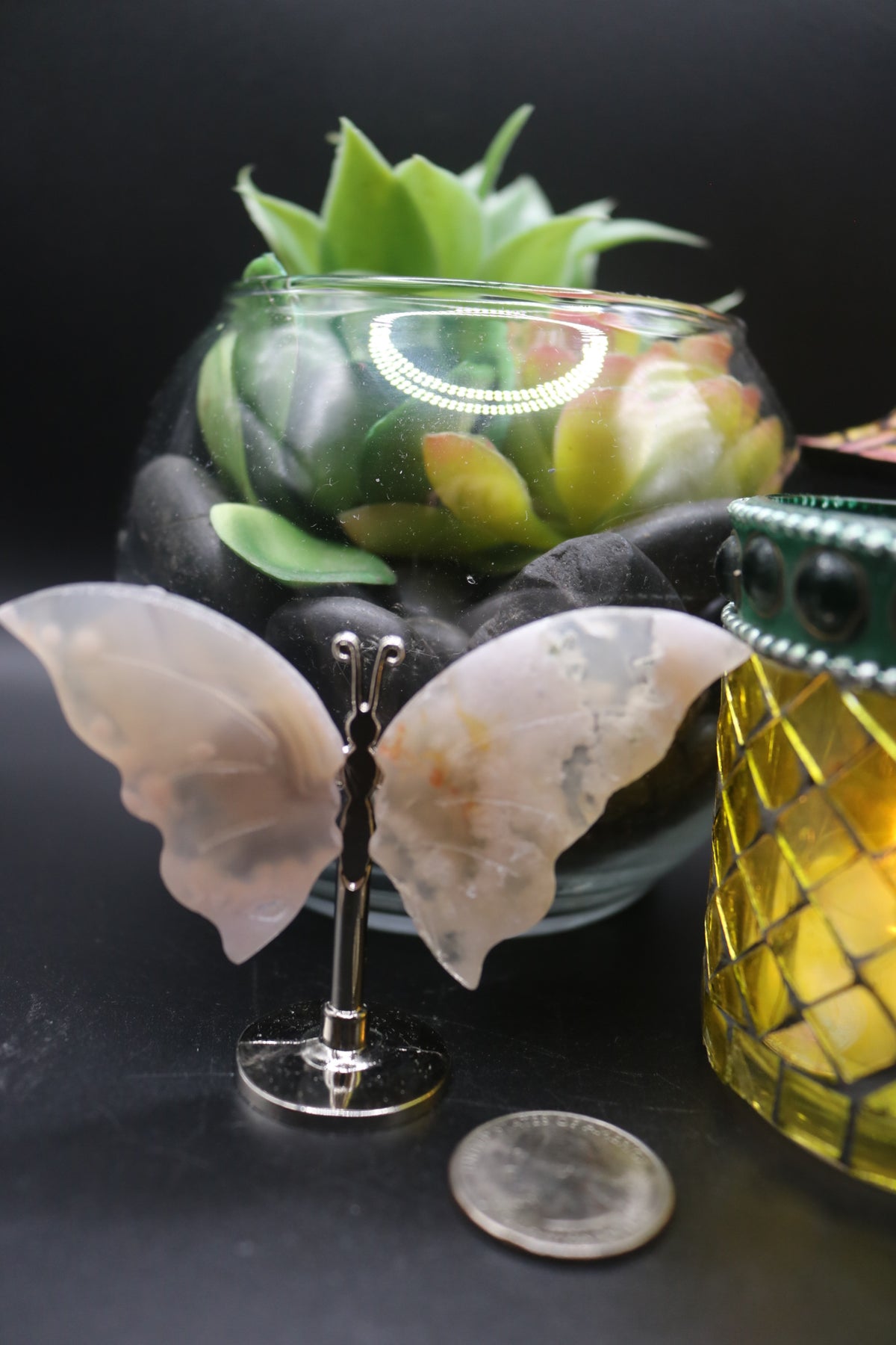 Random Butterfly Wings (Small)