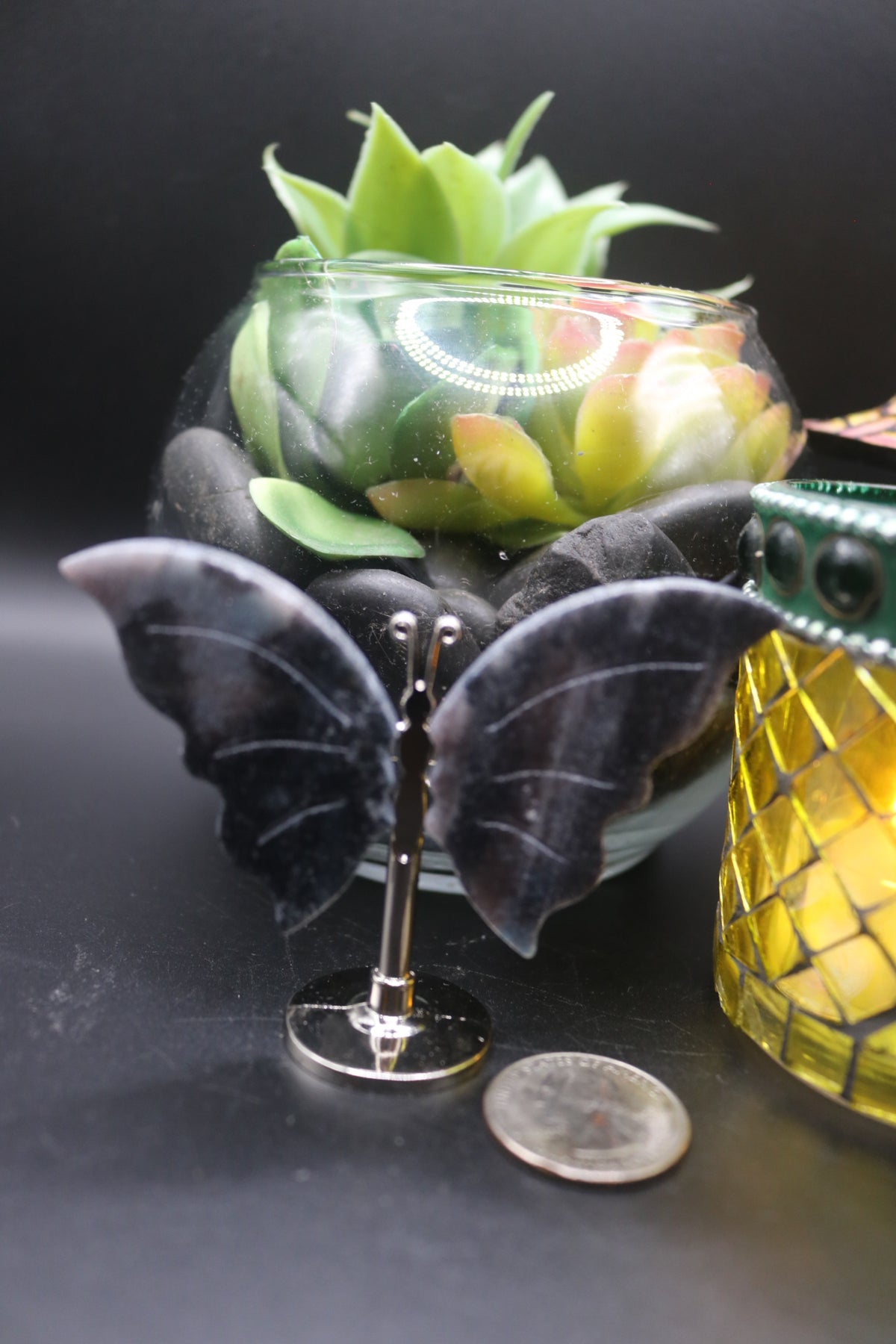 Random Butterfly Wings (Small)