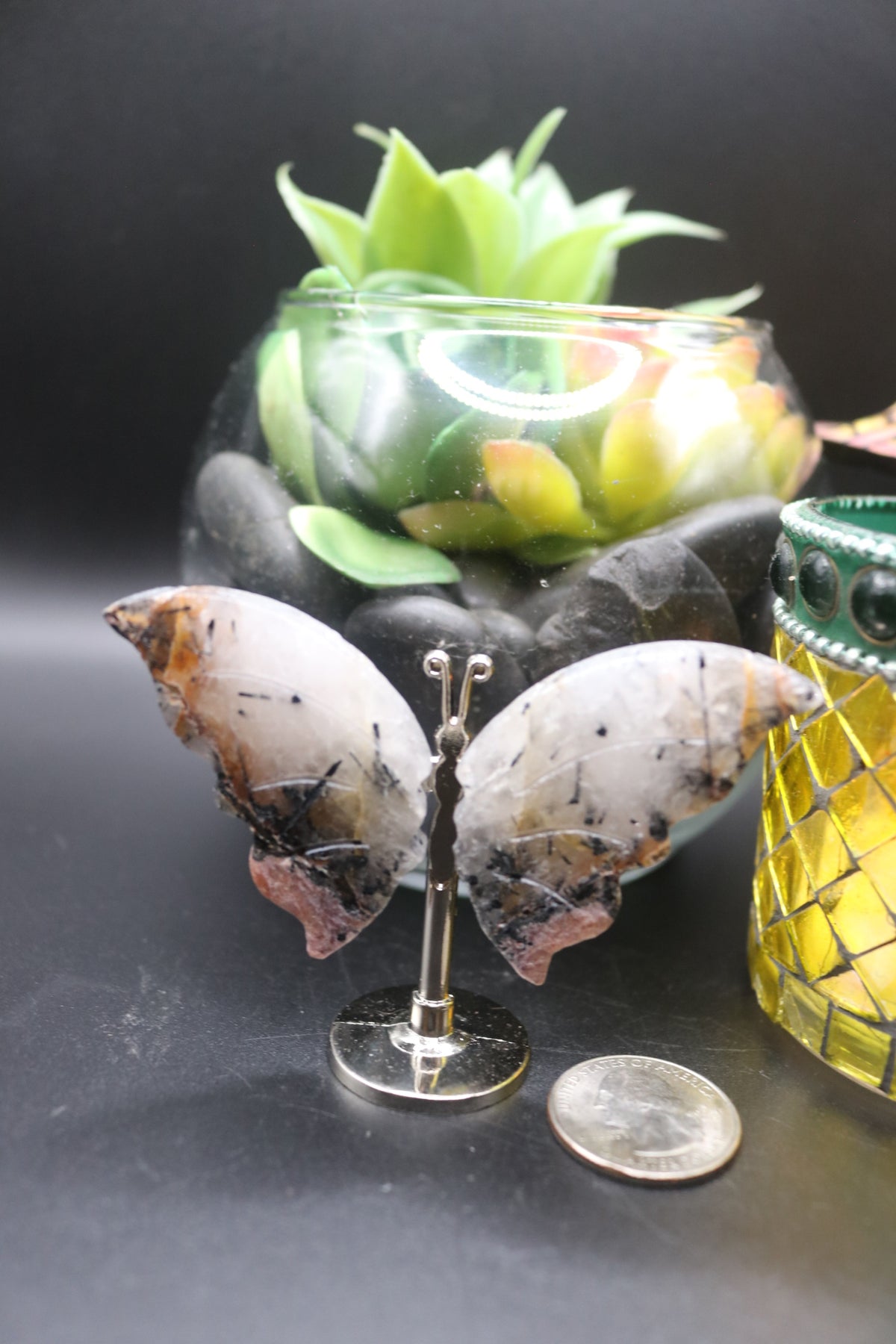 Random Butterfly Wings (Small)
