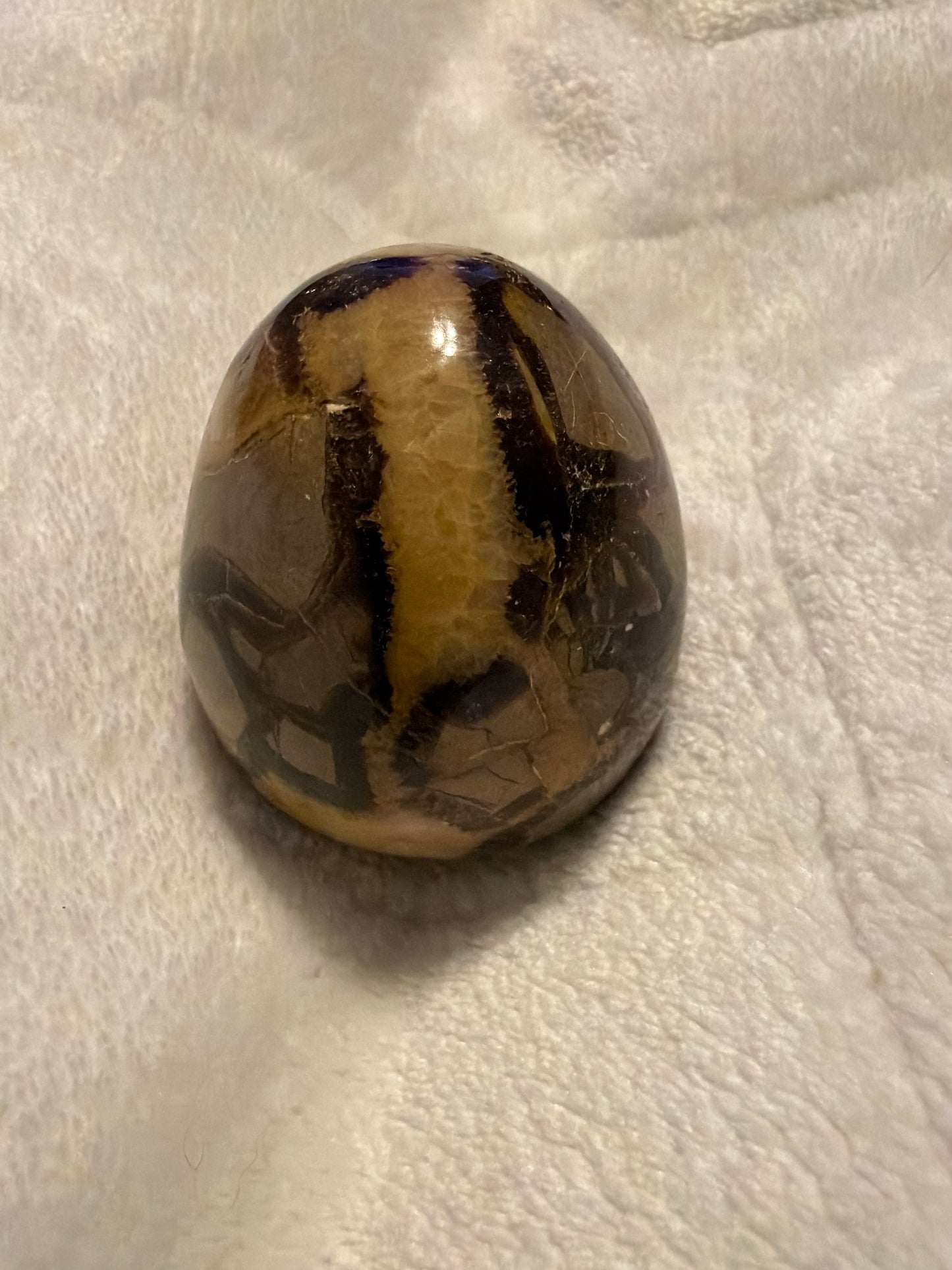 Septarian Stone Egg