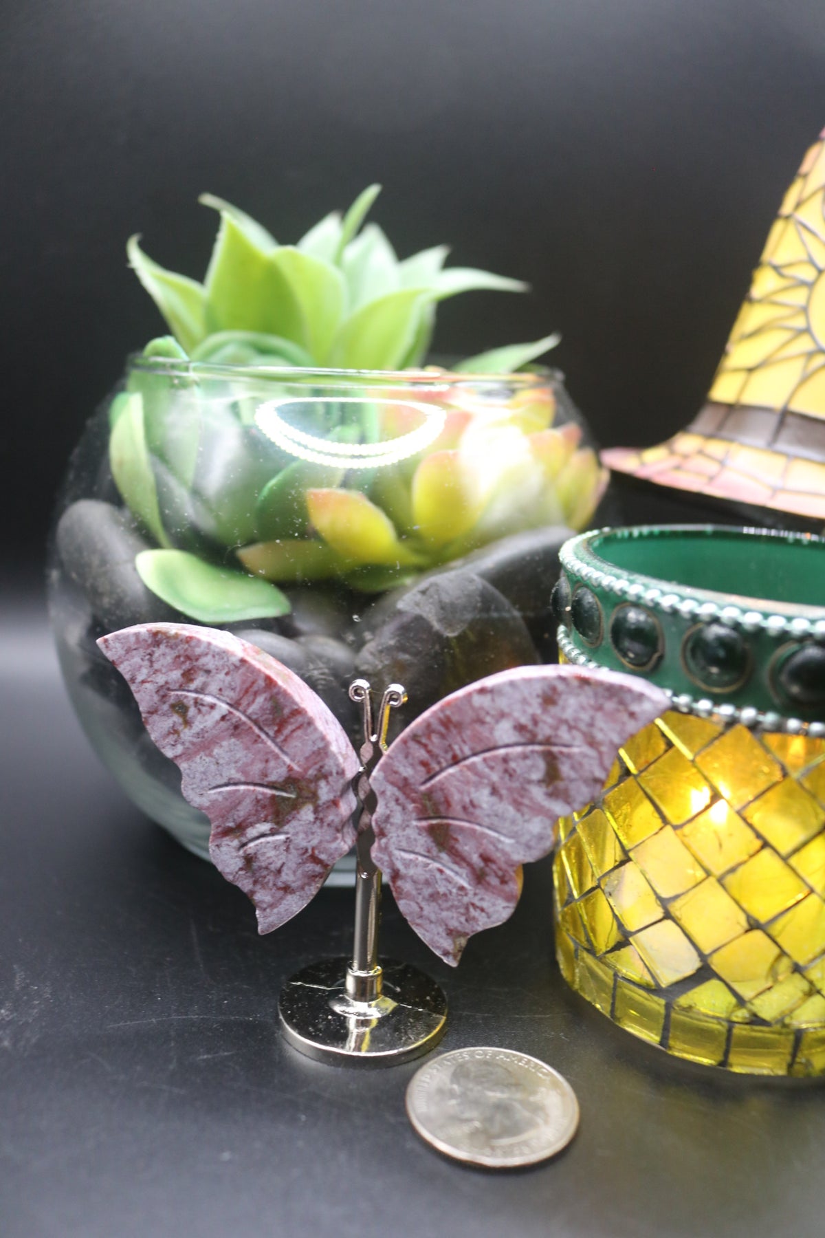 Random Butterfly Wings (Small)