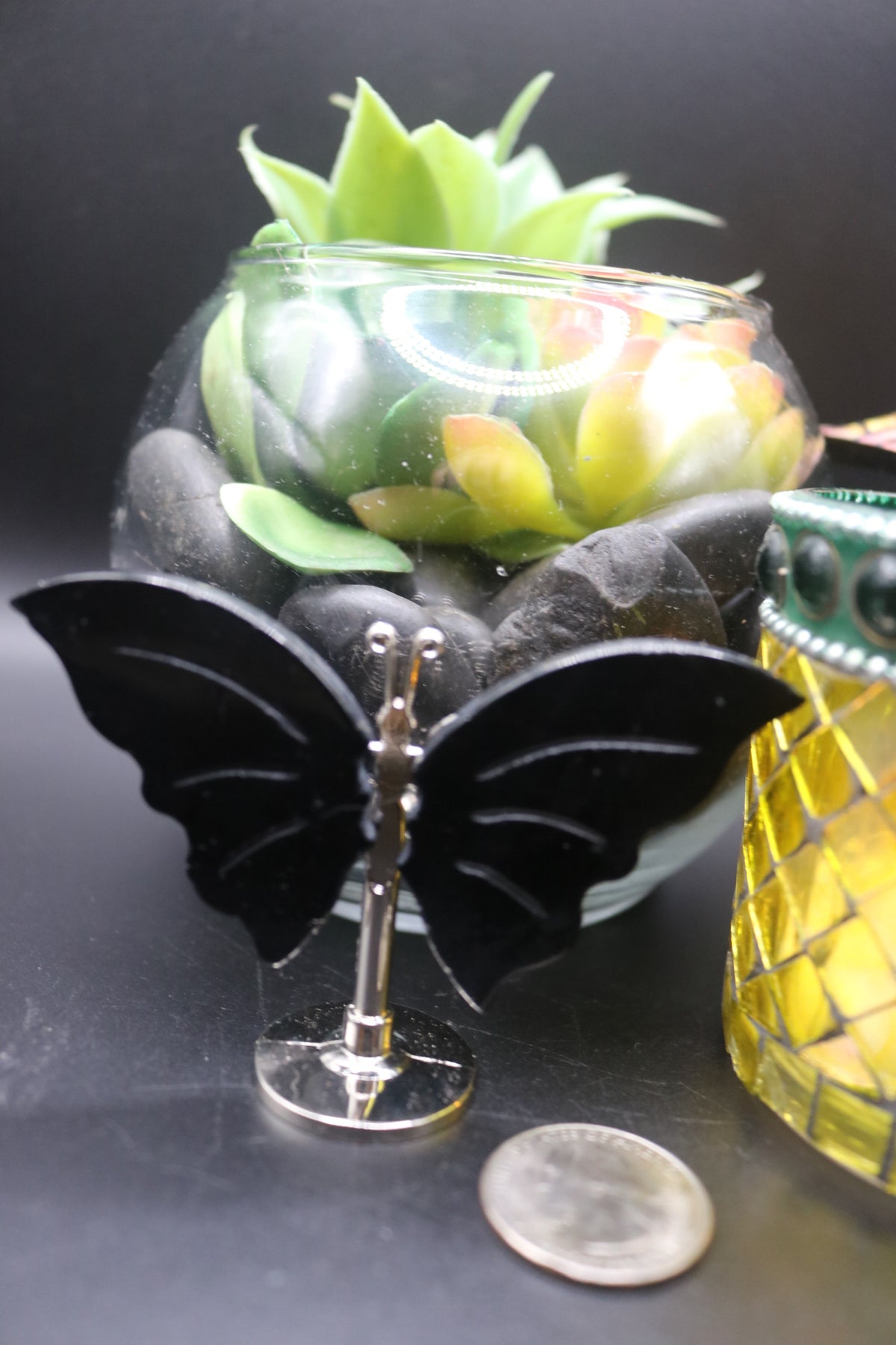 Random Butterfly Wings (Small)