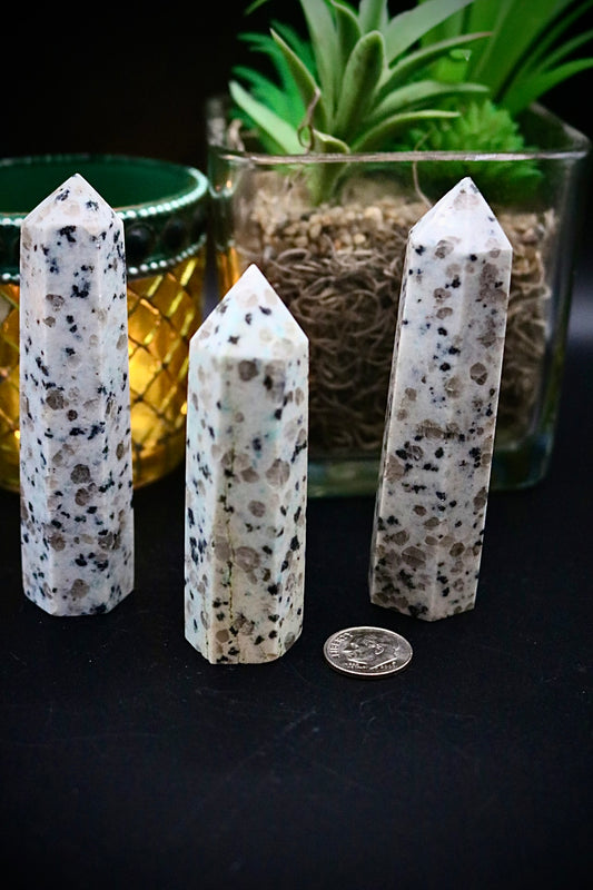 Kiwi Stone