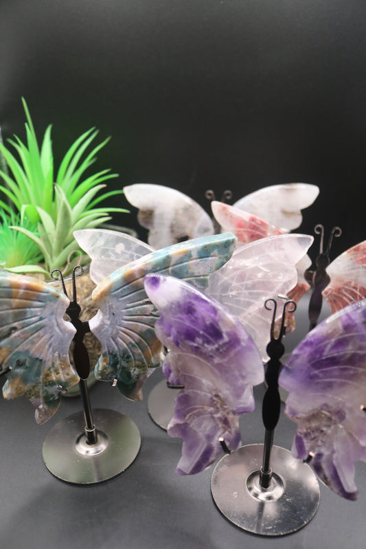 Random Butterfly Wings