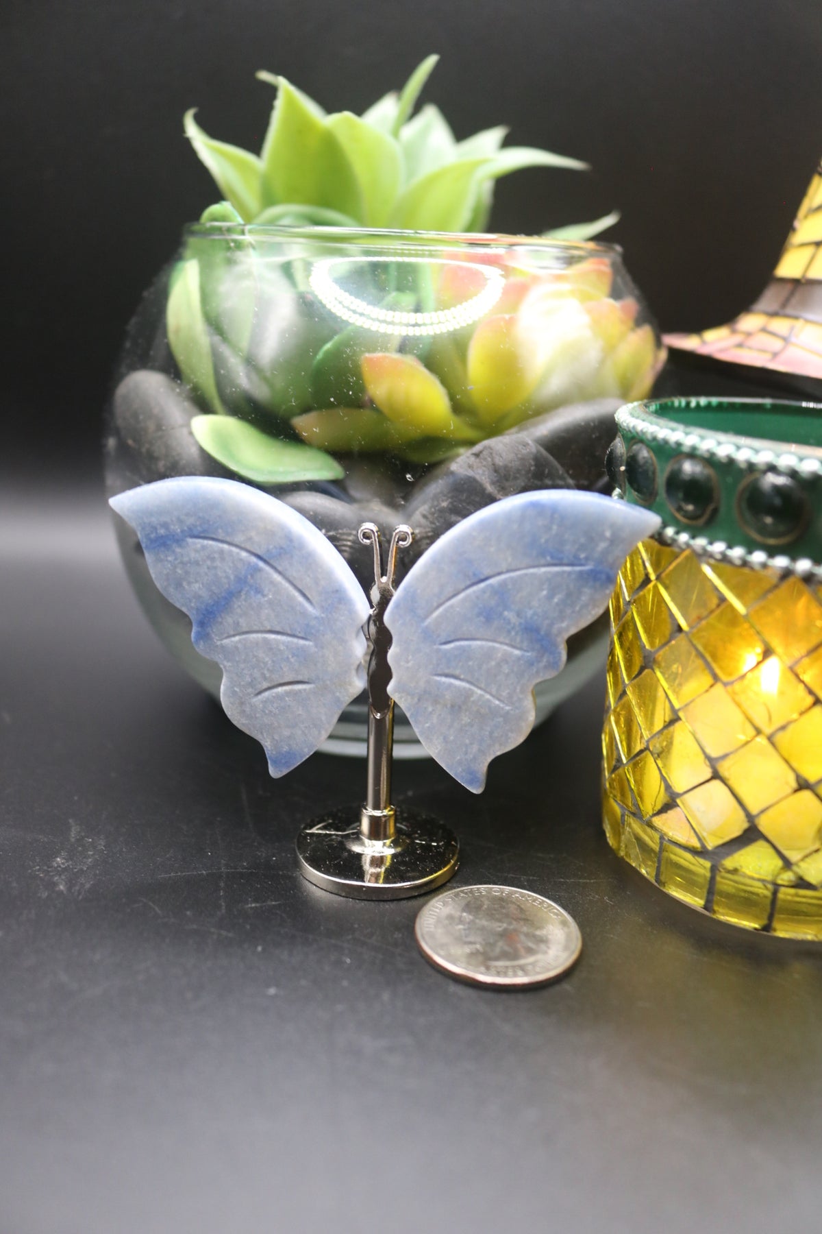 Random Butterfly Wings (Small)