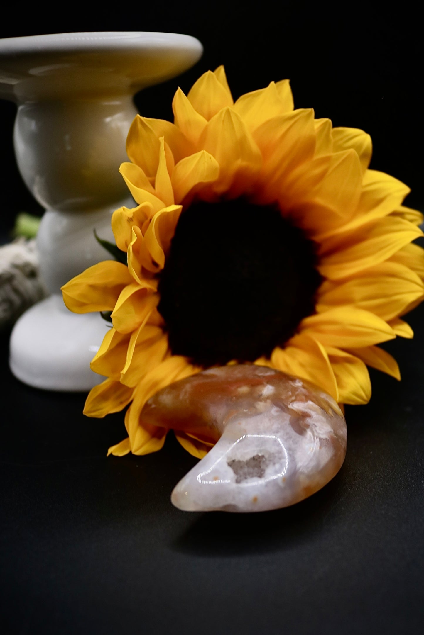 Flower Agate Moons