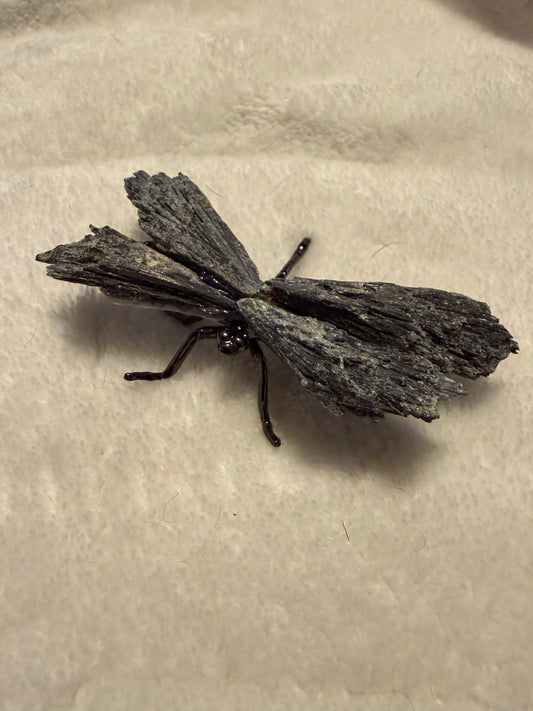 Black Tourmeline Dragonfly