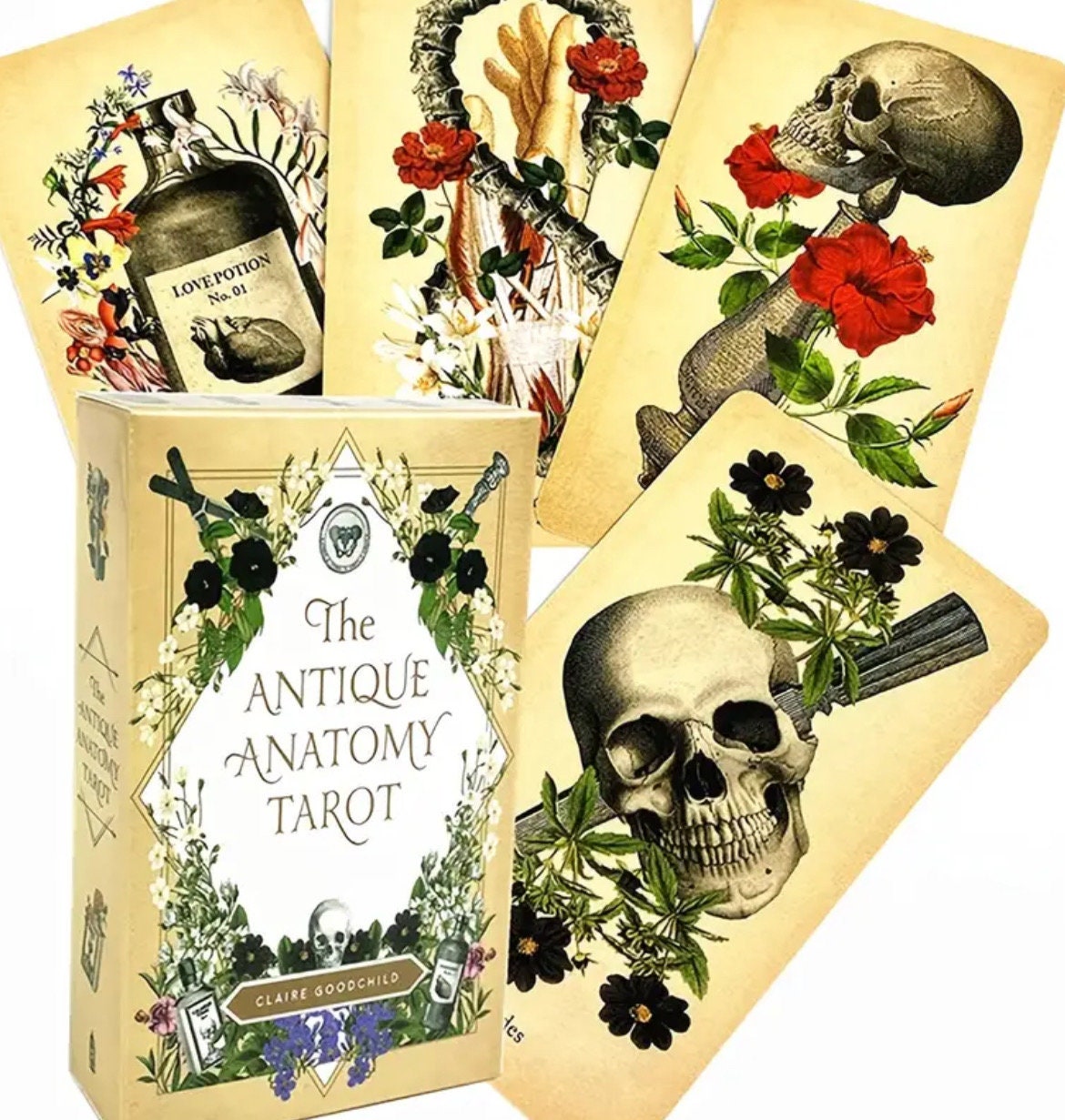 The Anatomy Tarot Deck