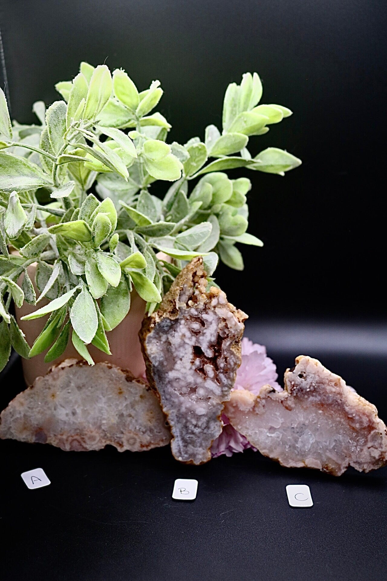 Pink Flower Agate Slices, Pink Amethyst Blossom Crystals